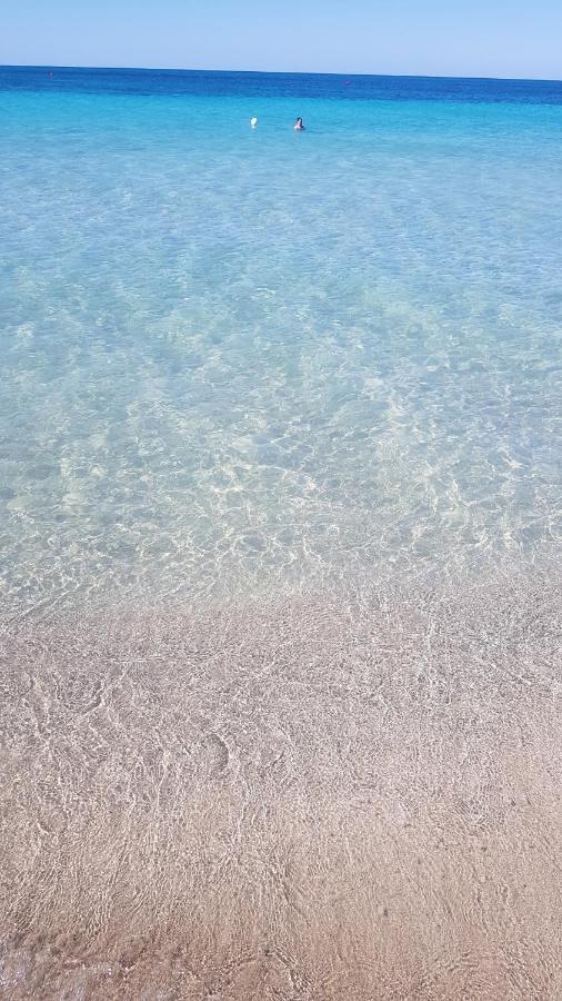 Salaqua Bed&Breakfast Torre Mozza Bagian luar foto